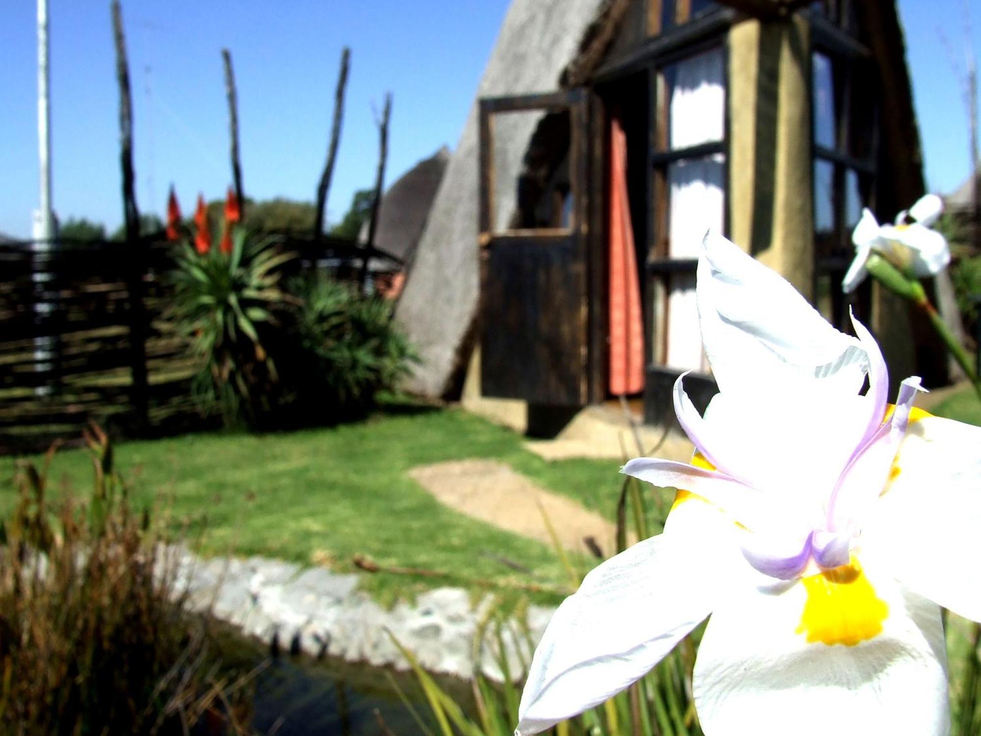 Hawane Resort 음바바네 외부 사진